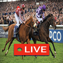 Watch  Horse Racing Live Stream APK
