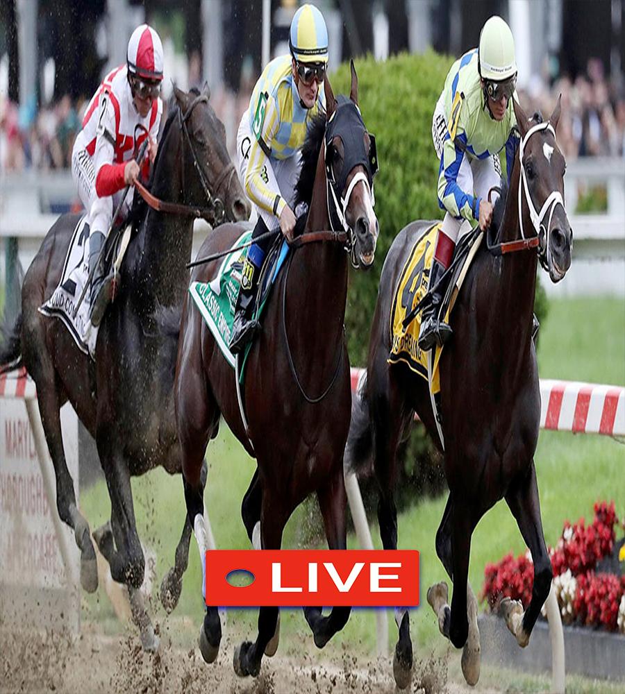 Stream Horse Racing Stream Horse Racing