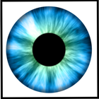 Free Eye Test icône