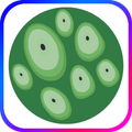 Trypophobia ASMR