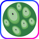 Trypophobia ASMR APK