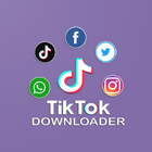 Tik Downloader icône