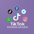 Tik Downloader APK