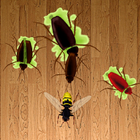 Beetle Smasher HD icône
