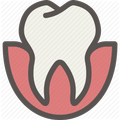 DentLoc