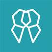 Dentiflow icon