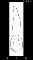 Dental Anatomy captura de pantalla 2