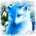 Polar Fox Slot