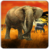 Safari Tour Slot ícone