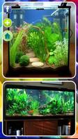 AQUARIAUM TASARIMI gönderen