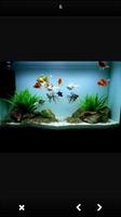 AQUARIAUM TASARIMI Ekran Görüntüsü 1