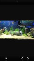AQUARIAUM TASARIMI Ekran Görüntüsü 2