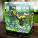 Einzigartiges Aquariumdesign APK