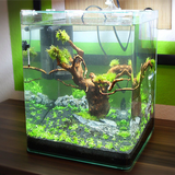 آیکون‌ Unique aquarium design