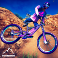 Descenders Mountain Bike Downhill : BMX Racer