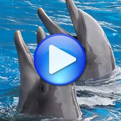 Dolphins Songs zu schlafen XAPK Herunterladen