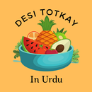 Desi Totkay in Urdu APK