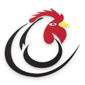 Desi Chicken