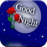 Good Night GIF Zeichen