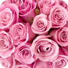 Rose GIF ikona