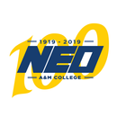 NEO A&M APK