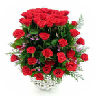 Flowers Images 2020 আইকন