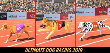 Dog Race Game: Dog Racing 3D