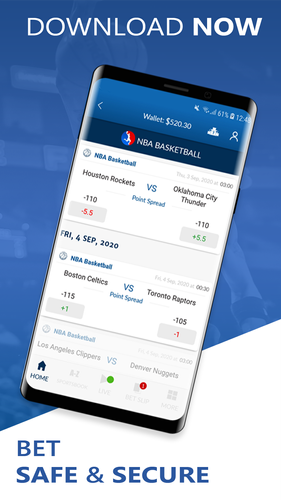 Can i bet on sports online Can i bet on sports online