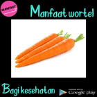 Manfaat Wortel أيقونة