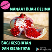 Manfaat buah delima icon