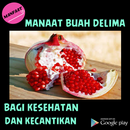 Manfaat buah delima APK