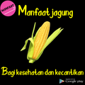 Manfaat Tanaman Jagung