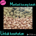 Manfaat Kacang Tanah