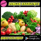 Manfaat Sayur Lengkap icon