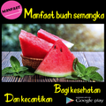 Manfaat Semangka