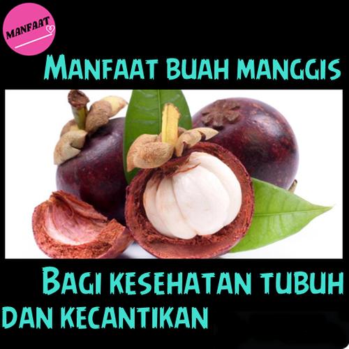 Manfaat buah manggis bagi kesehatan