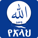 99 Names of Allah Asmaul Husna иконка