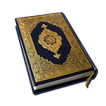 Holy Quran 30 Juz アイコン