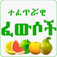 Islamic Medicinal Remedies Icon
