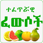 Islamic Medicinal Remedies أيقونة