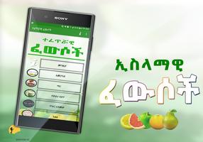 Islamic Medicinal Remedies تصوير الشاشة 1