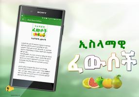 Islamic Medicinal Remedies تصوير الشاشة 2
