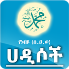 500 Hadiths - Selected Hadis icon