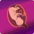 Pregnancy in Islam simgesi