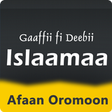 Islamic QUIZ Gaaffii fi Deebii иконка