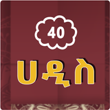 40 Arbaeena Hadis иконка
