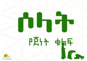 How to Salat постер