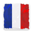 Learn French test A1 A2 B1, Gr APK