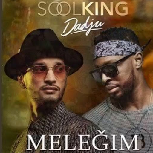 Soolking - Meleğim Mp3 2020 APK 1.0 for Android – Download Soolking -  Meleğim Mp3 2020 APK Latest Version from APKFab.com