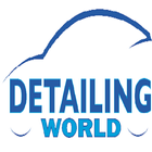 Detailing World أيقونة